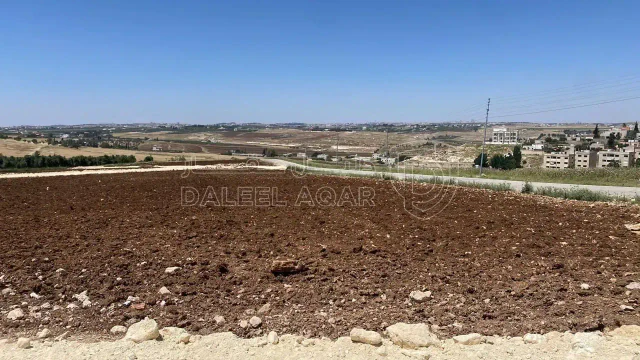 أرض في ناعور  - بلعاس  - 85,000 دأ - صورة 1