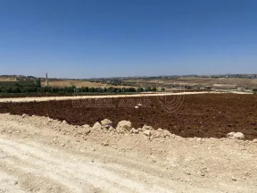 أرض في ناعور  - بلعاس  - 85,000 دأ - صورة NaN