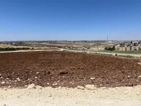 أرض في ناعور  - بلعاس  - 85,000 دأ - صورة NaN