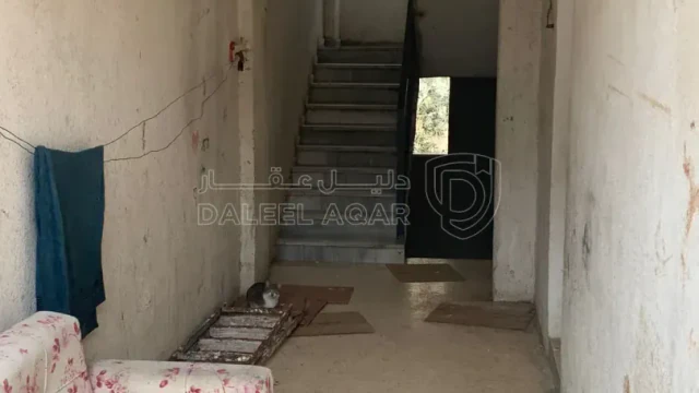 شقة - الهاشمي الشمالي غلف بيرغرايز - 11000 دأ
