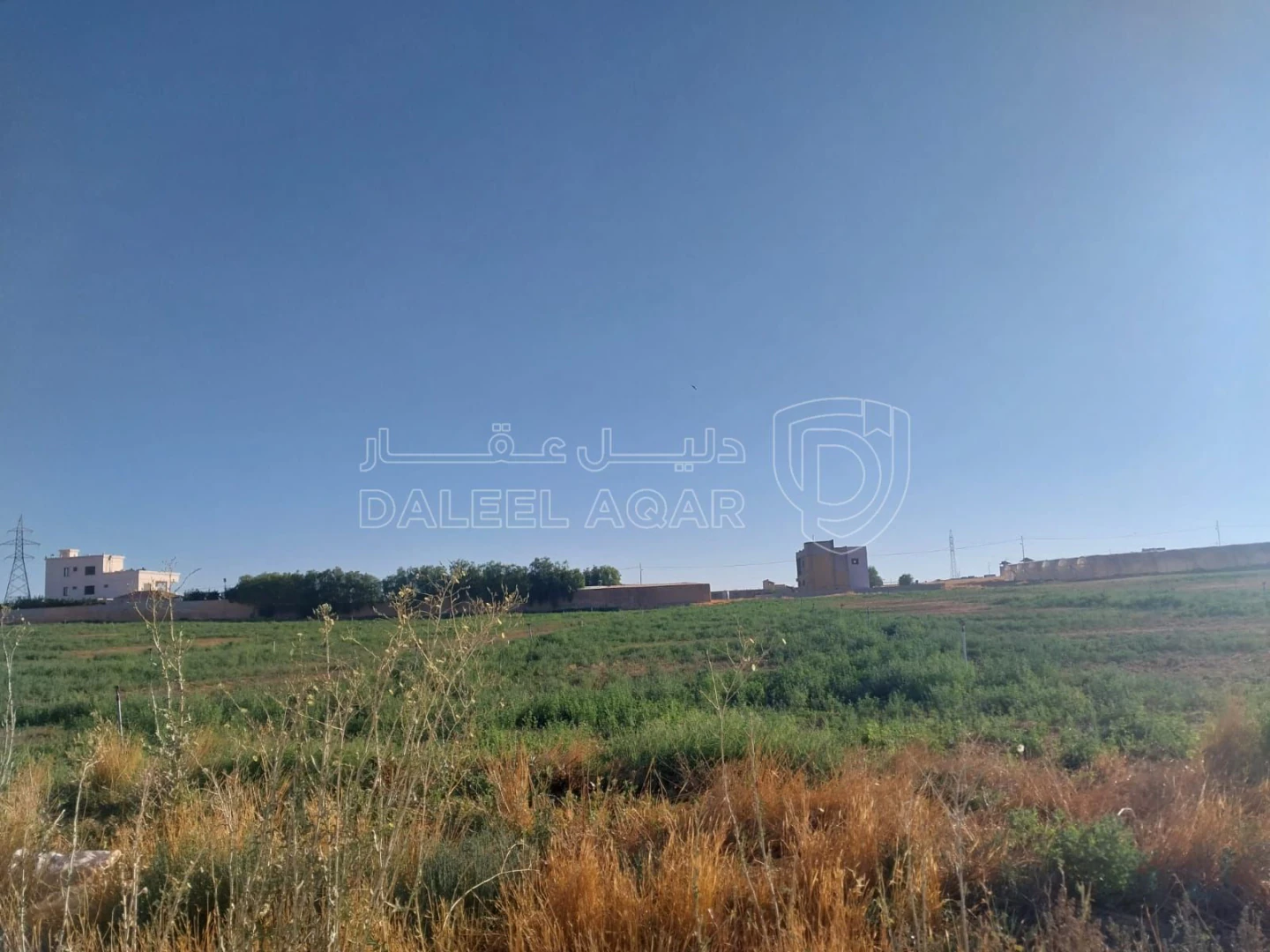 أرض في جنوب عمان  - 10,000 دأ - صورة 1