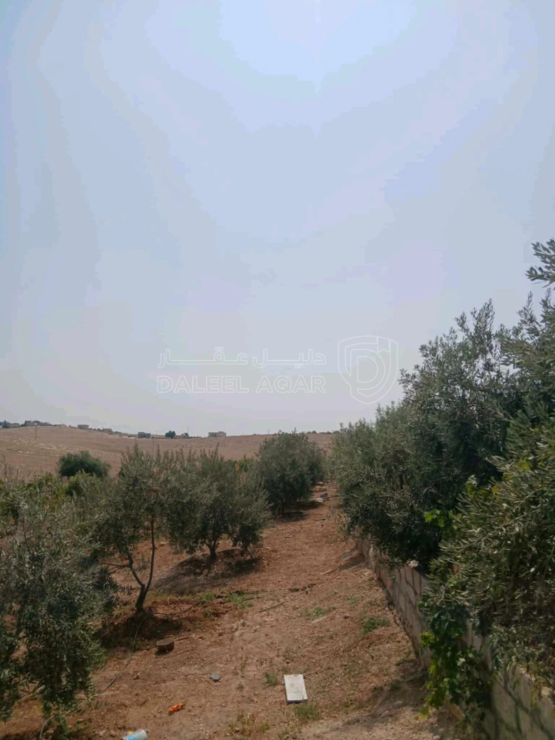 أرض في مأدبا دليلة الحمايدة  - 140,000 دأ - صورة 1