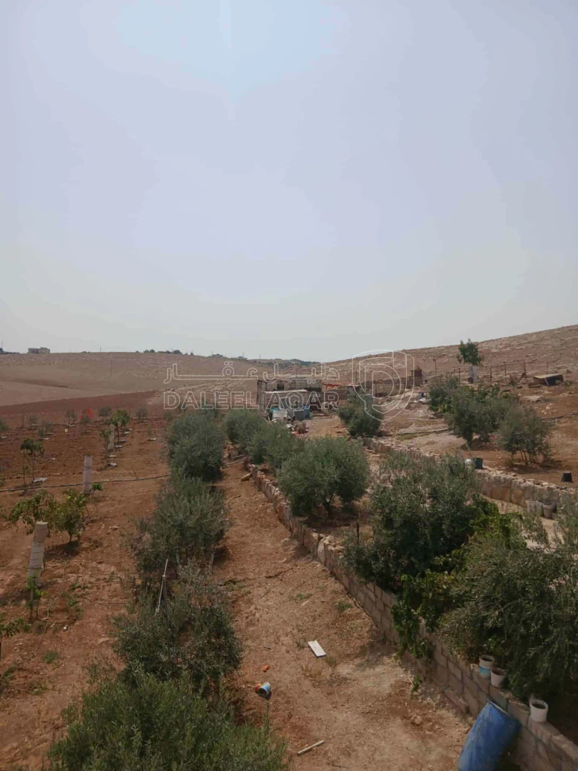 أرض في مأدبا دليلة الحمايدة  - 140,000 دأ - صورة 1
