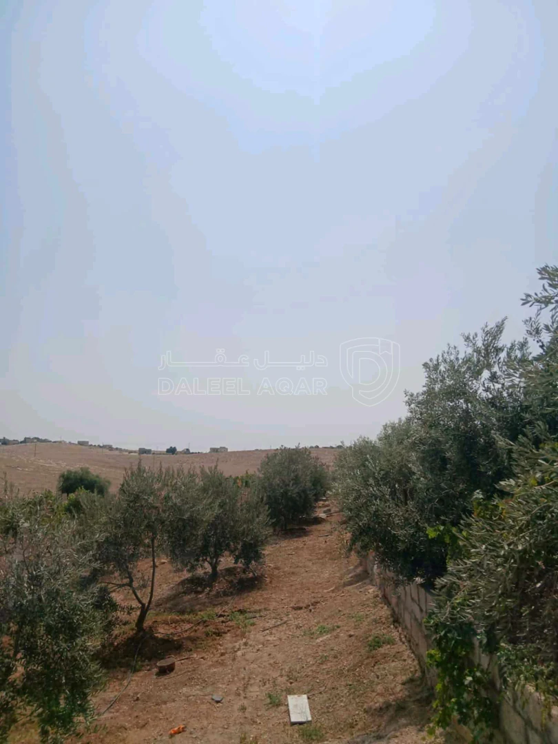 أرض في مأدبا دليلة الحمايدة  - 140,000 دأ - صورة 1