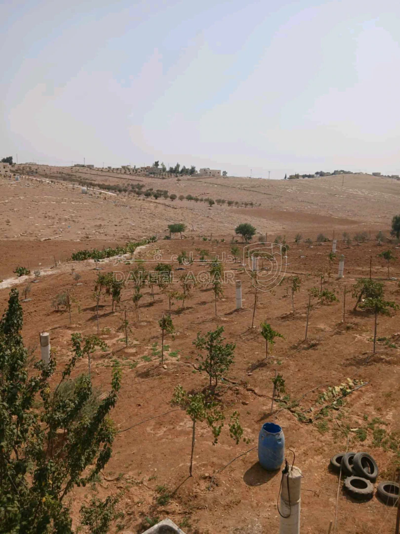 أرض في مأدبا دليلة الحمايدة  - 140,000 دأ - صورة 1