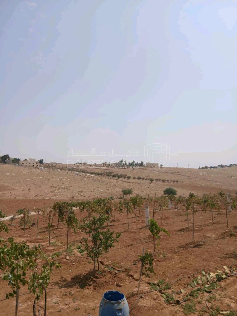 أرض في مأدبا دليلة الحمايدة  - 140,000 دأ - صورة 1