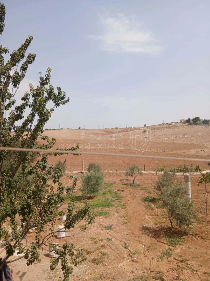 أرض في مأدبا دليلة الحمايدة  - 140,000 دأ - صورة 1