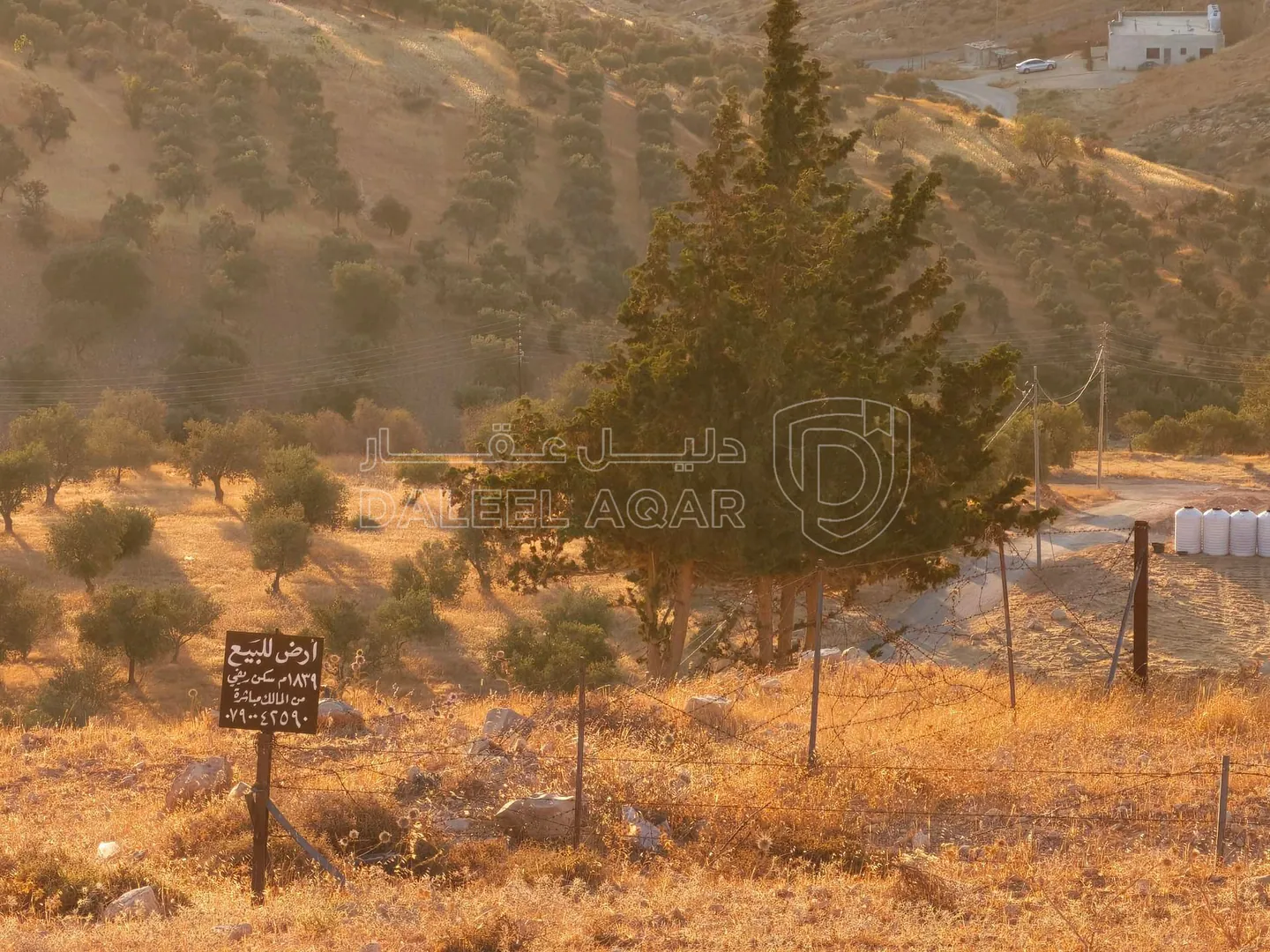 أرض في بيرين / أم رمانه - 120,000 دأ - صورة 1
