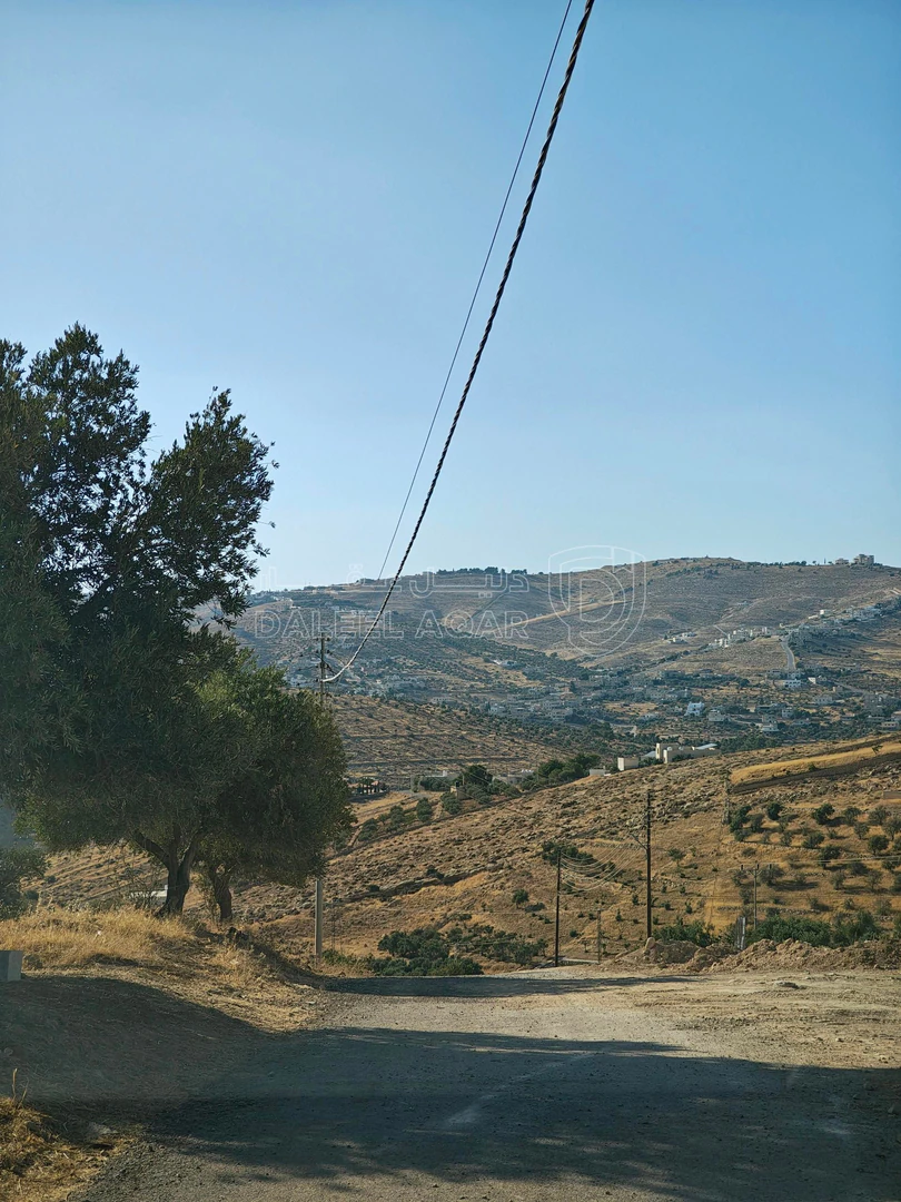 أرض في بيرين / أم رمانه - 120,000 دأ - صورة 1