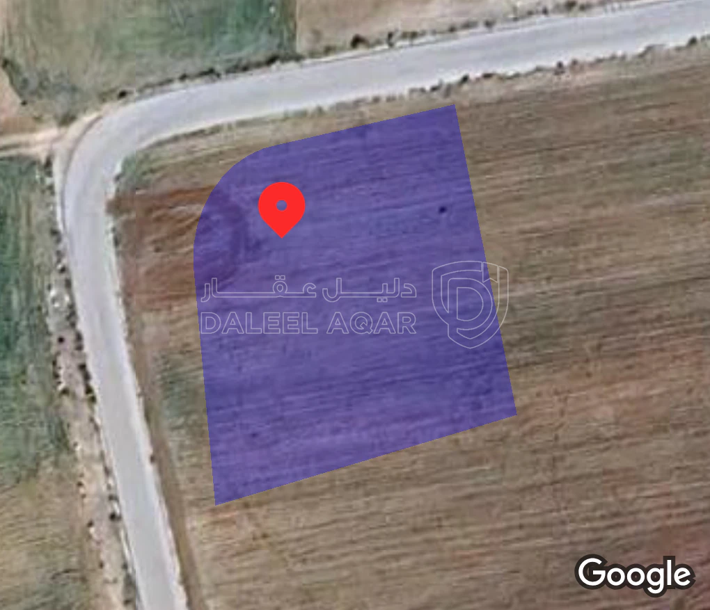 أرض في الكرك ذات راس - 25,000 دأ - صورة 1