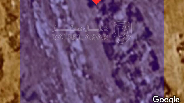 أرض - عمان بيادر وادي السير - 160000 دأ