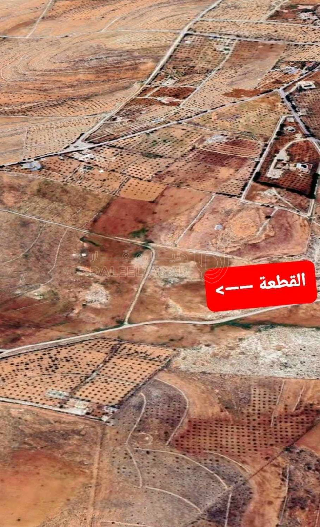 أرض في أرض مميزة في رحاب - المفرق - 130,000 دأ - صورة 1