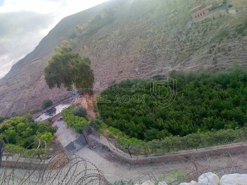 أرض في السلط الرميمين  - 400,000 دأ - صورة 1