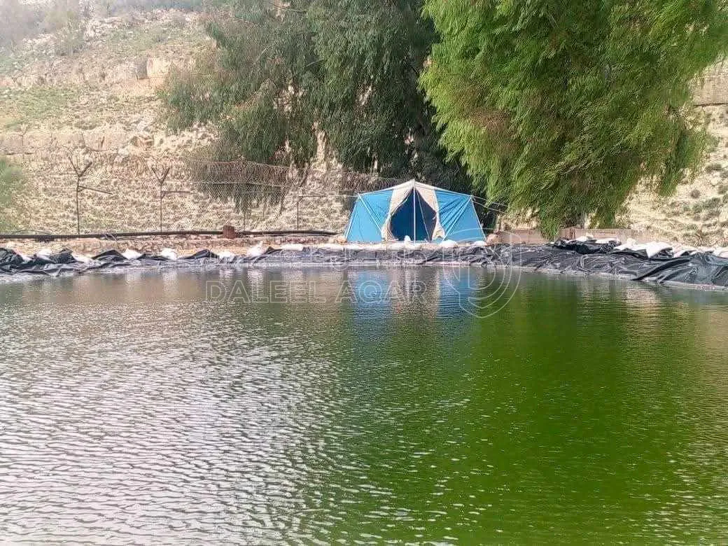 أرض في السلط الرميمين  - 400,000 دأ - صورة 1