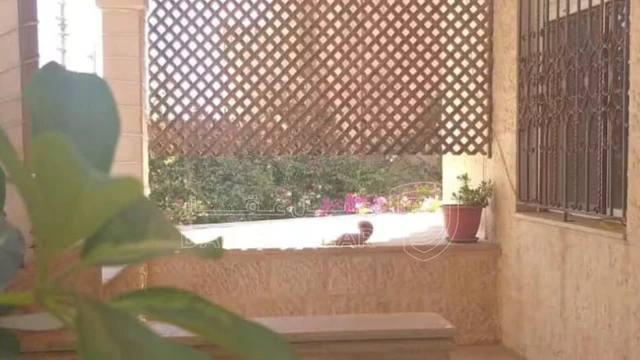 فيلا/منزل في 📍 الزرقاء – جبل طارق ( قرب مركز صحي جبل طارق ) - 105,000 دأ - صورة NaN
