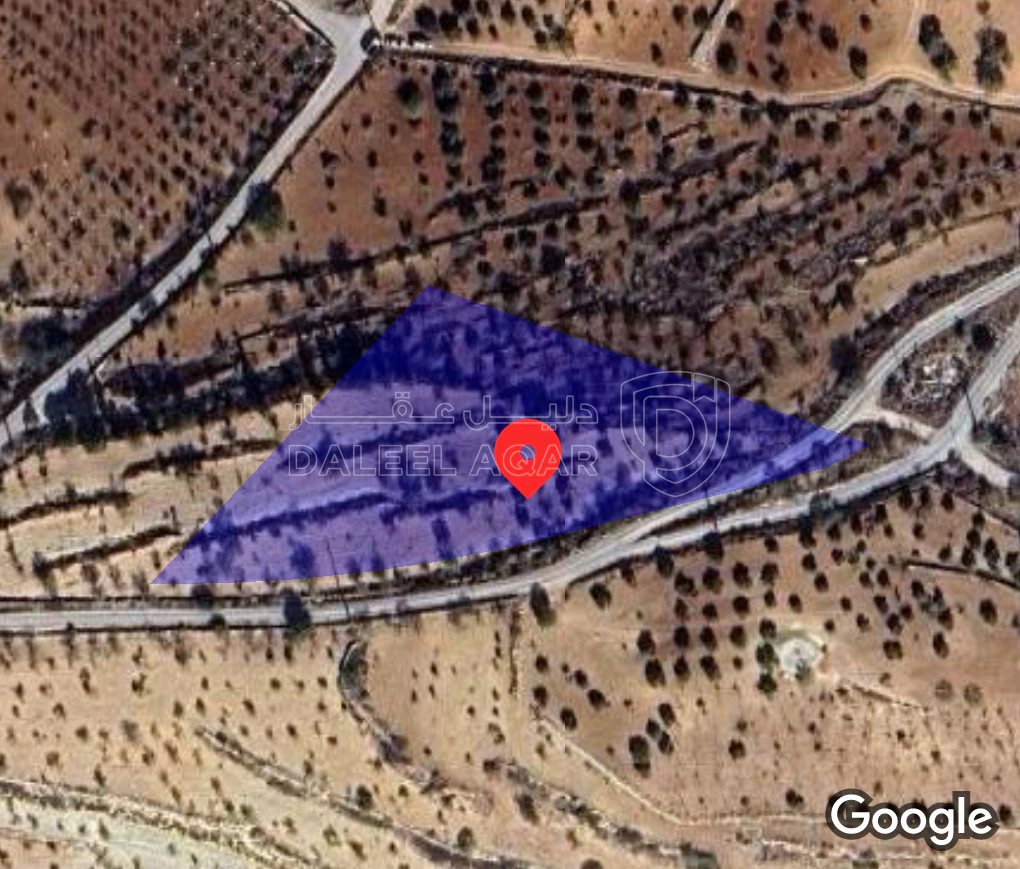 أرض في جرش-سوف-رأس المهلل - 42,000 دأ - صورة 1