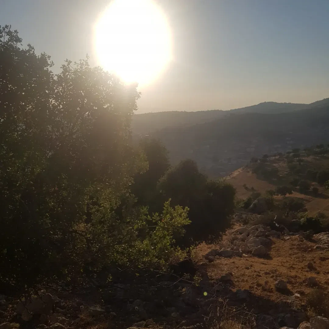 أرض في ابو السوس البيادر مقابل مسجد ابو السوس - 195,000 دأ - صورة 1