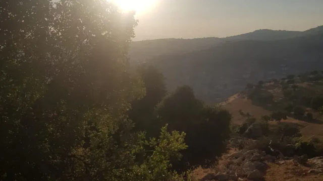 أرض - ابو السوس البيادر مقابل مسجد ابو السوس - 195000 دأ