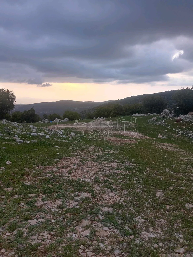 أرض في أرض في قرية راسون من محافظة عجلون - 250,000 دأ - صورة 1
