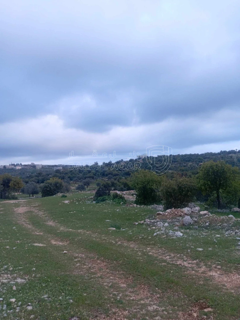 أرض في أرض في قرية راسون من محافظة عجلون - 250,000 دأ - صورة 1