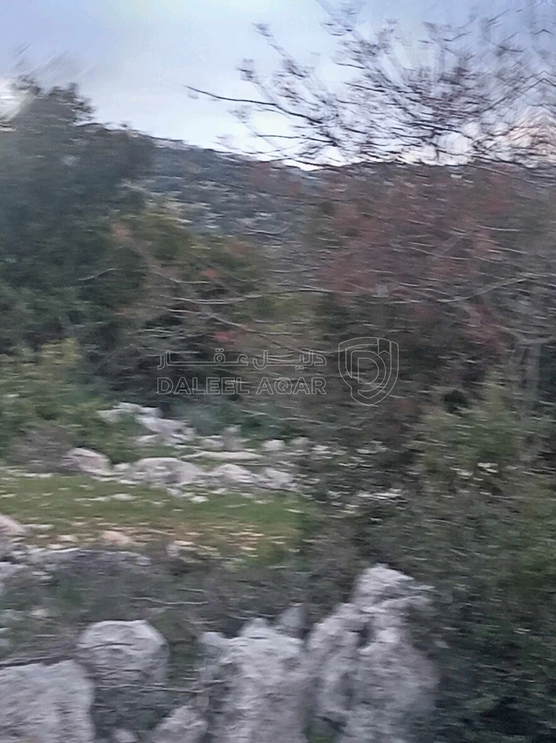 أرض في أرض في قرية راسون من محافظة عجلون - 250,000 دأ - صورة 1