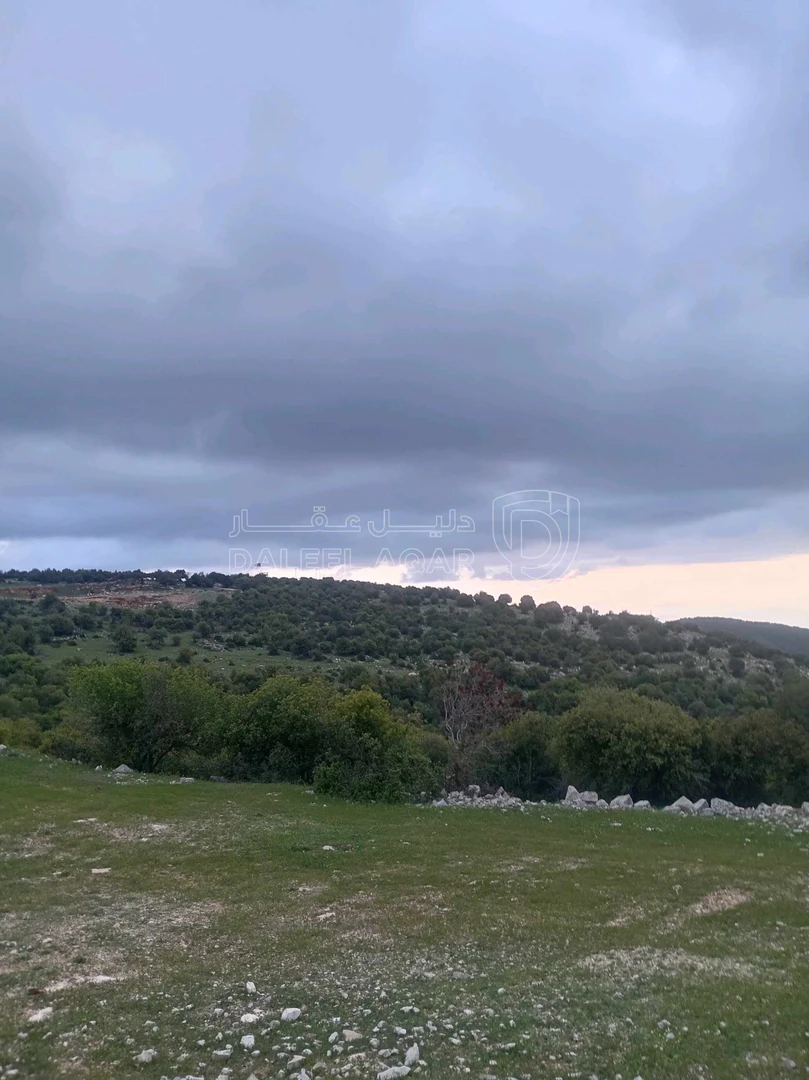 أرض في أرض في قرية راسون من محافظة عجلون - 250,000 دأ - صورة 1