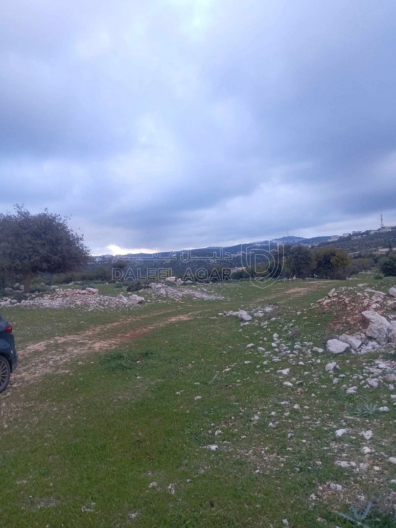 أرض في أرض في قرية راسون من محافظة عجلون - 250,000 دأ - صورة 1