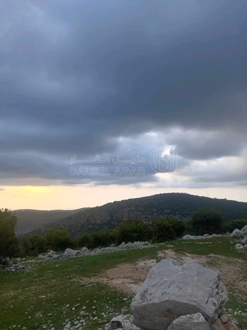 أرض في أرض في قرية راسون من محافظة عجلون - 250,000 دأ - صورة 1