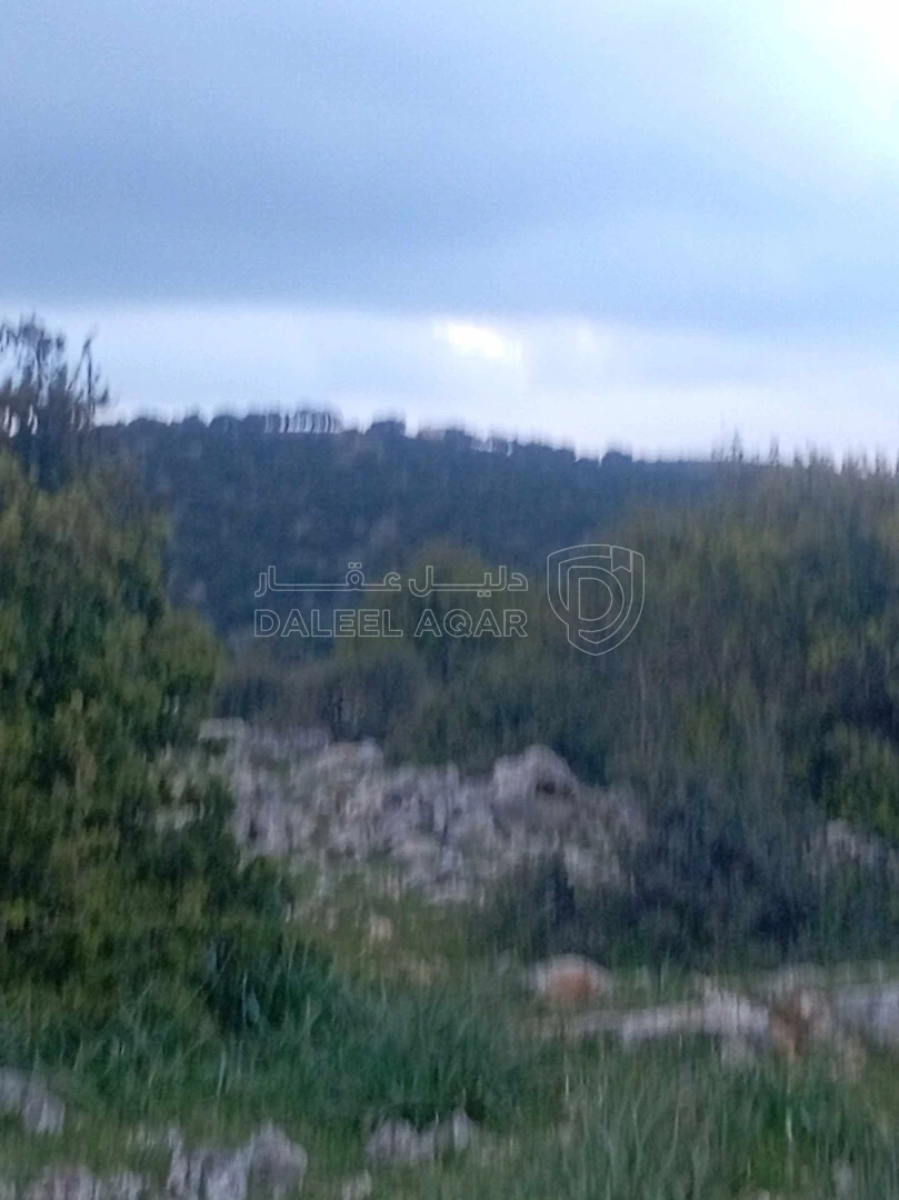 أرض في أرض في قرية راسون من محافظة عجلون - 250,000 دأ - صورة 1