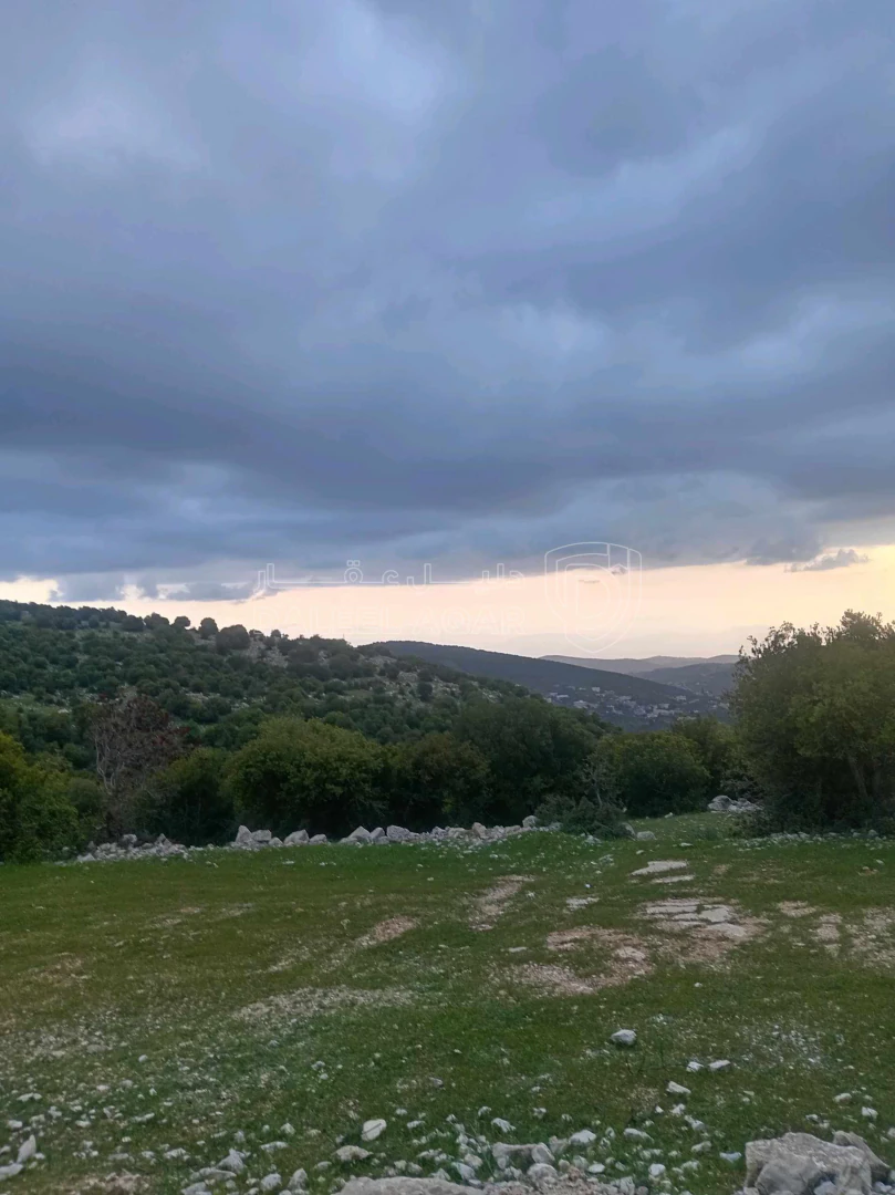 أرض في أرض في قرية راسون من محافظة عجلون - 250,000 دأ - صورة 1