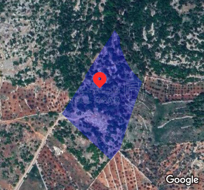 أرض في أرض في قرية راسون من محافظة عجلون - 250,000 دأ - صورة 1