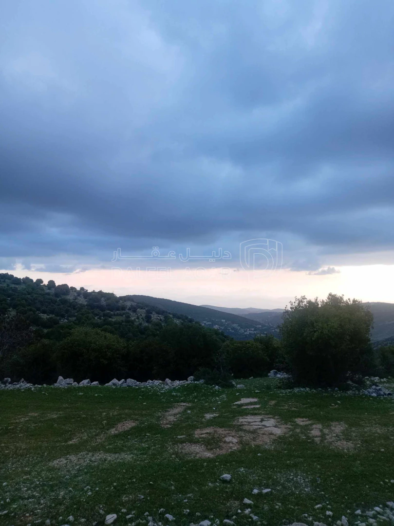 أرض في أرض في قرية راسون من محافظة عجلون - 250,000 دأ - صورة 1