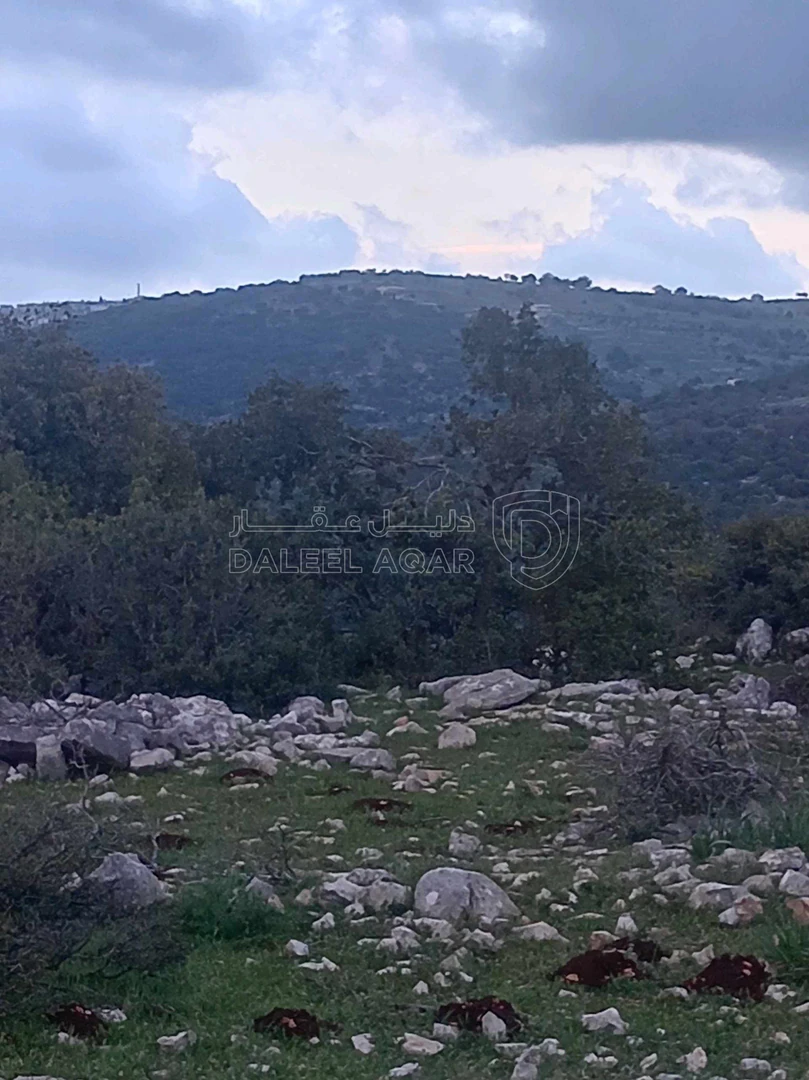 أرض في أرض في قرية راسون من محافظة عجلون - 250,000 دأ - صورة 1