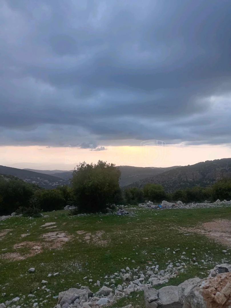 أرض في أرض في قرية راسون من محافظة عجلون - 250,000 دأ - صورة 1