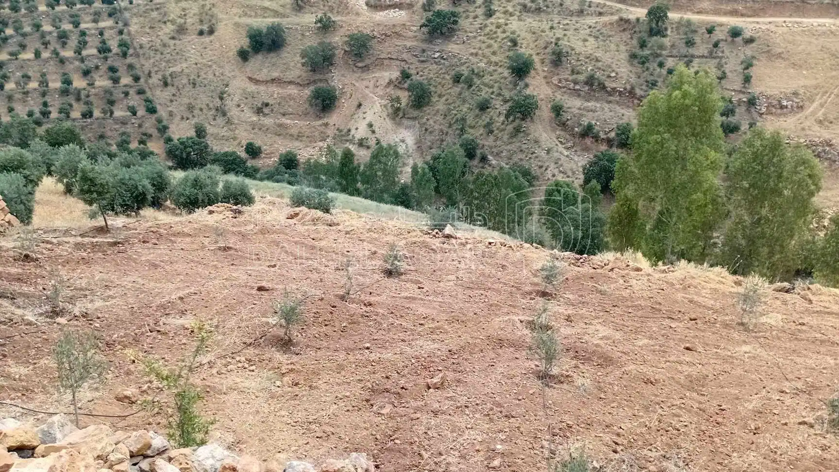أرض في السلط الصبيحي ابو الهيل  - 100,000 دأ - صورة 1