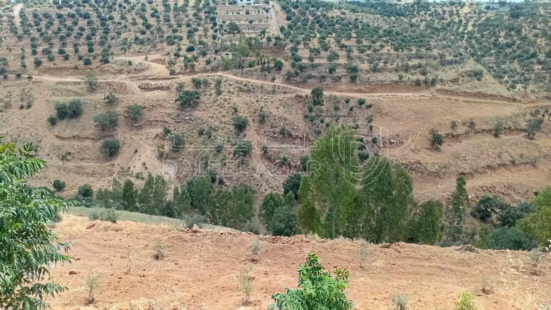 أرض في السلط الصبيحي ابو الهيل  - 100,000 دأ - صورة 1