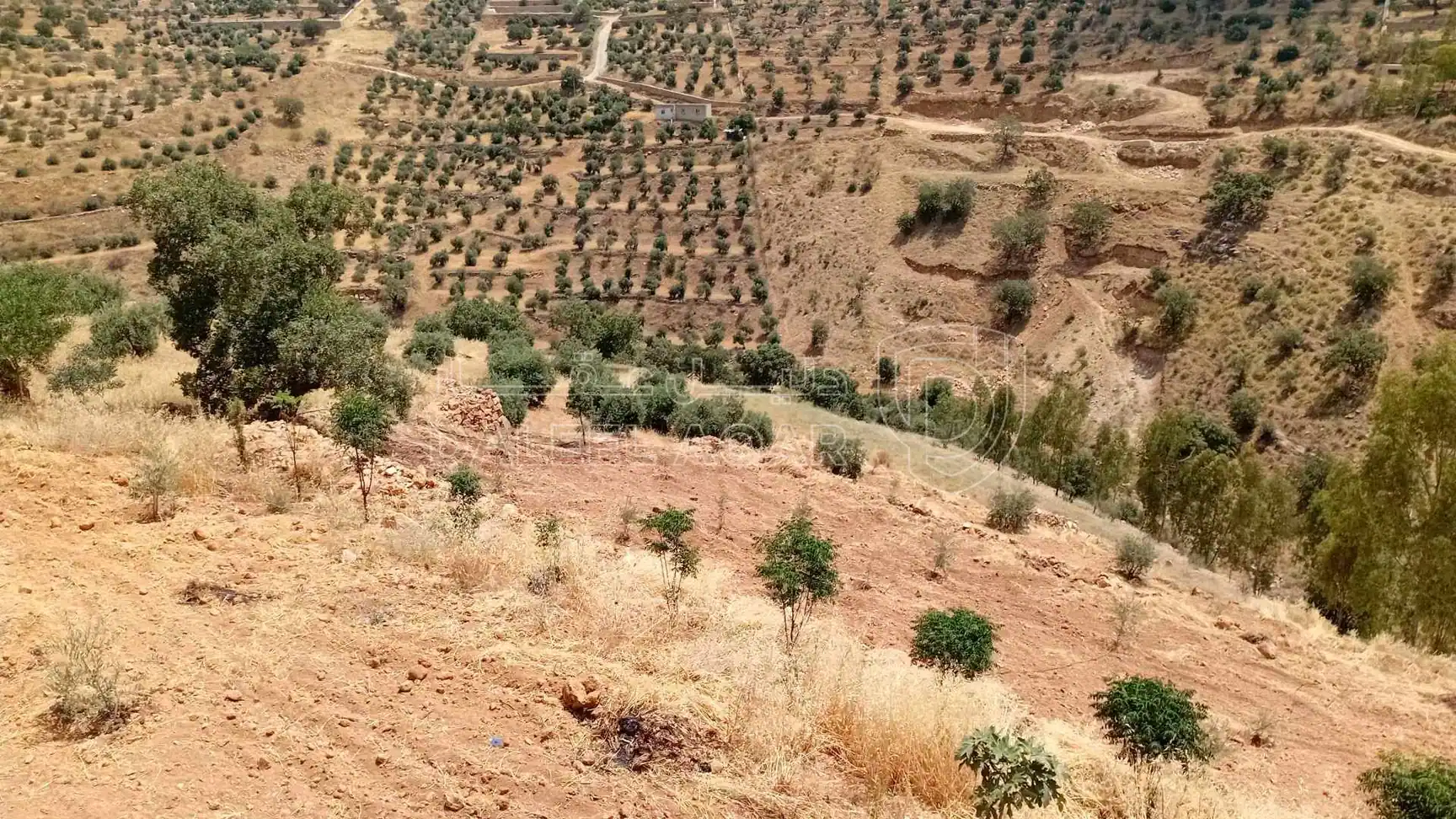 أرض في السلط الصبيحي ابو الهيل  - 100,000 دأ - صورة 1