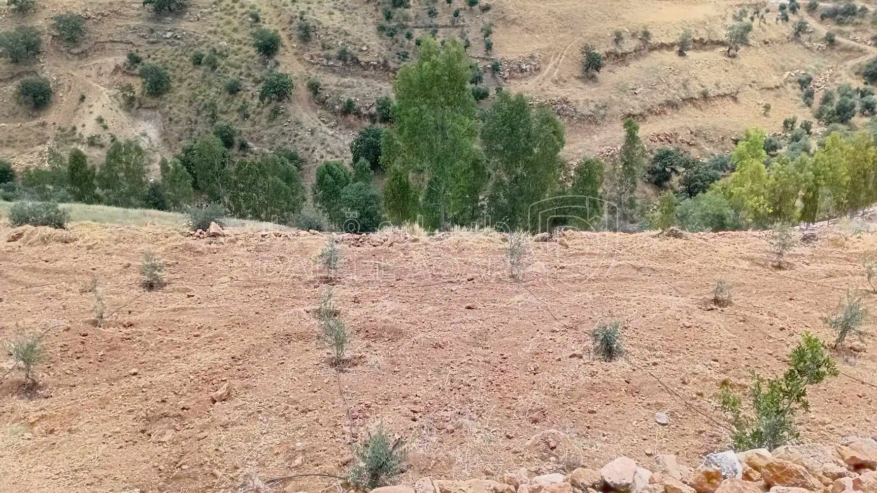 أرض في السلط الصبيحي ابو الهيل  - 100,000 دأ - صورة 1