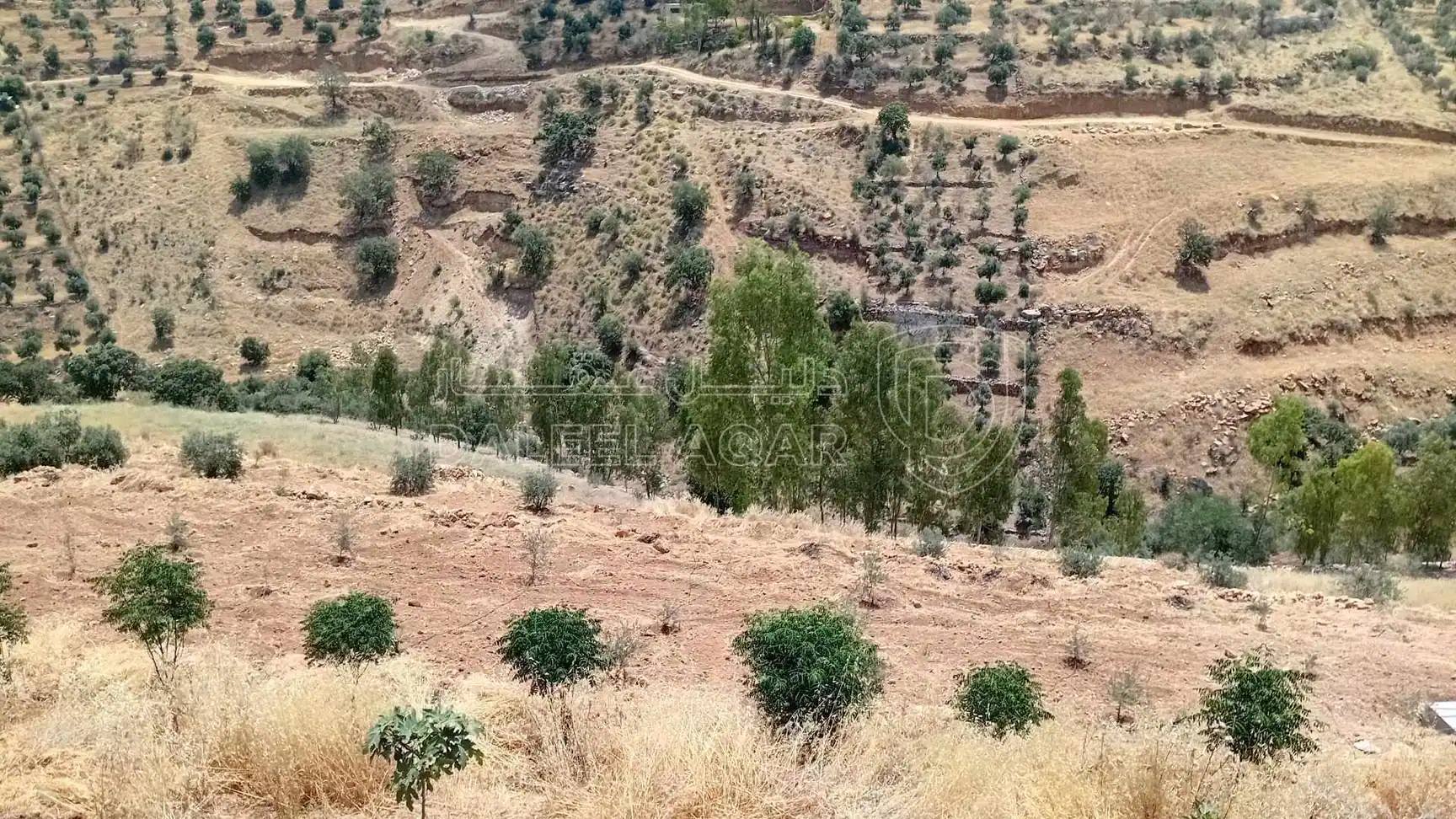 أرض في السلط الصبيحي ابو الهيل  - 100,000 دأ - صورة 1