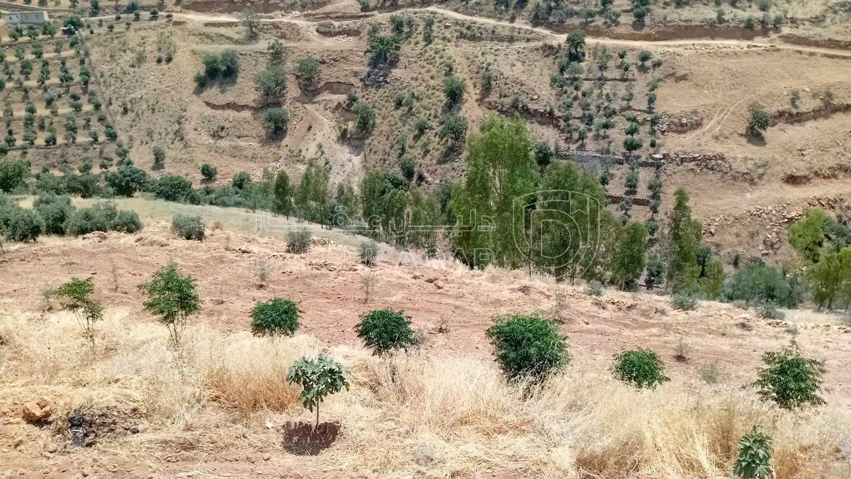 أرض في السلط الصبيحي ابو الهيل  - 100,000 دأ - صورة 1