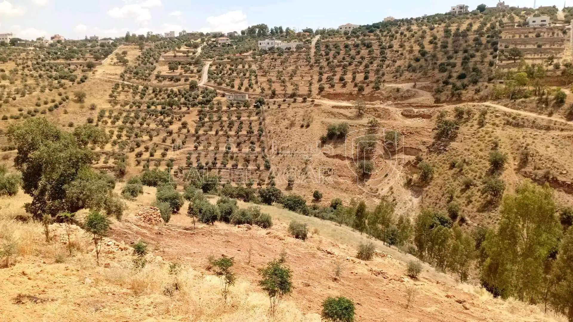 أرض في السلط الصبيحي ابو الهيل  - 100,000 دأ - صورة 1