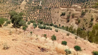 أرض في السلط الصبيحي ابو الهيل  - 100,000 دأ - صورة NaN