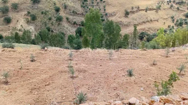 أرض في السلط الصبيحي ابو الهيل  - 100,000 دأ - صورة NaN