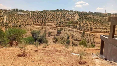 أرض في السلط الصبيحي ابو الهيل  - 100,000 دأ - صورة NaN