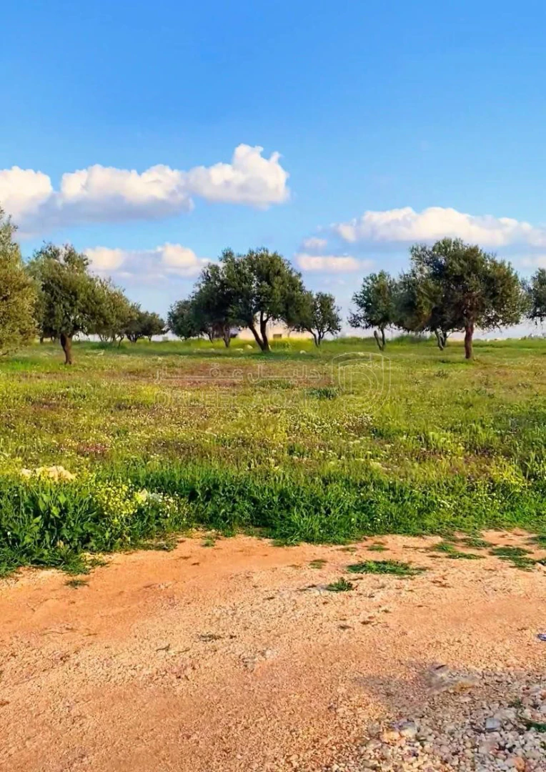 أرض في ارض مميزة للبيع خلف الشويفات - 236,400 دأ - صورة 1