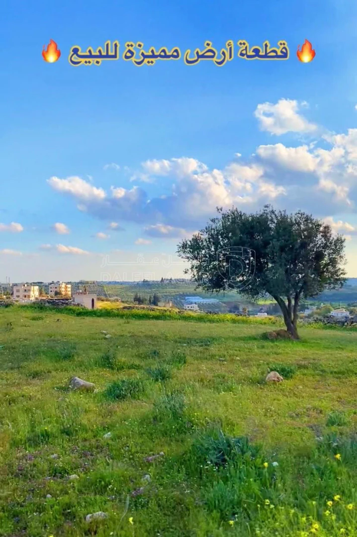 أرض في ارض مميزة للبيع خلف الشويفات - 236,400 دأ - صورة 1