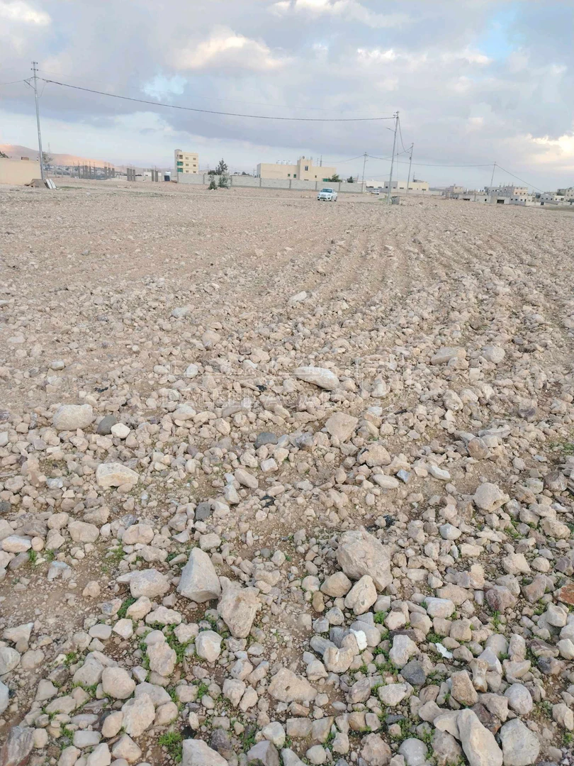 أرض في الزرقاء السخنة الحي الغربي - 15,000 دأ - صورة 1