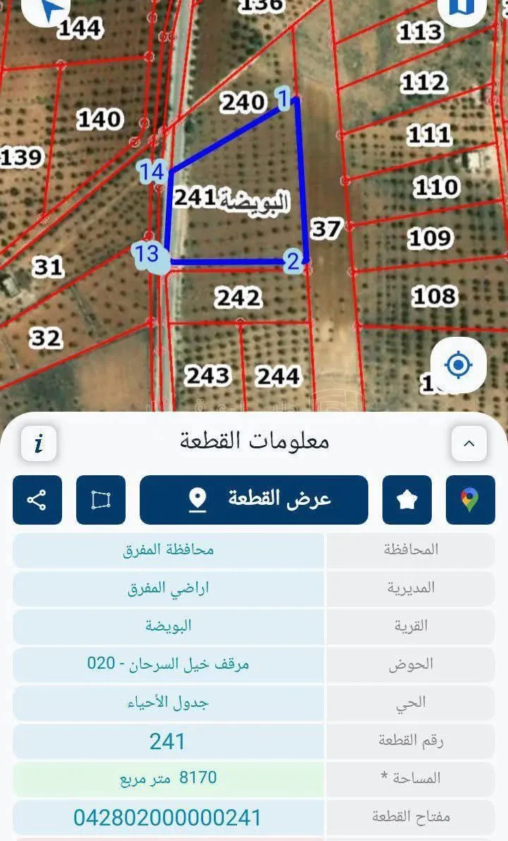 أرض في المفرق/ رحاب /البويضة الغربية /طريق منشية - 80,000 دأ - صورة 1