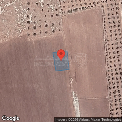 أرض في عمان - برازين السامك - 78,500 دأ - صورة 1
