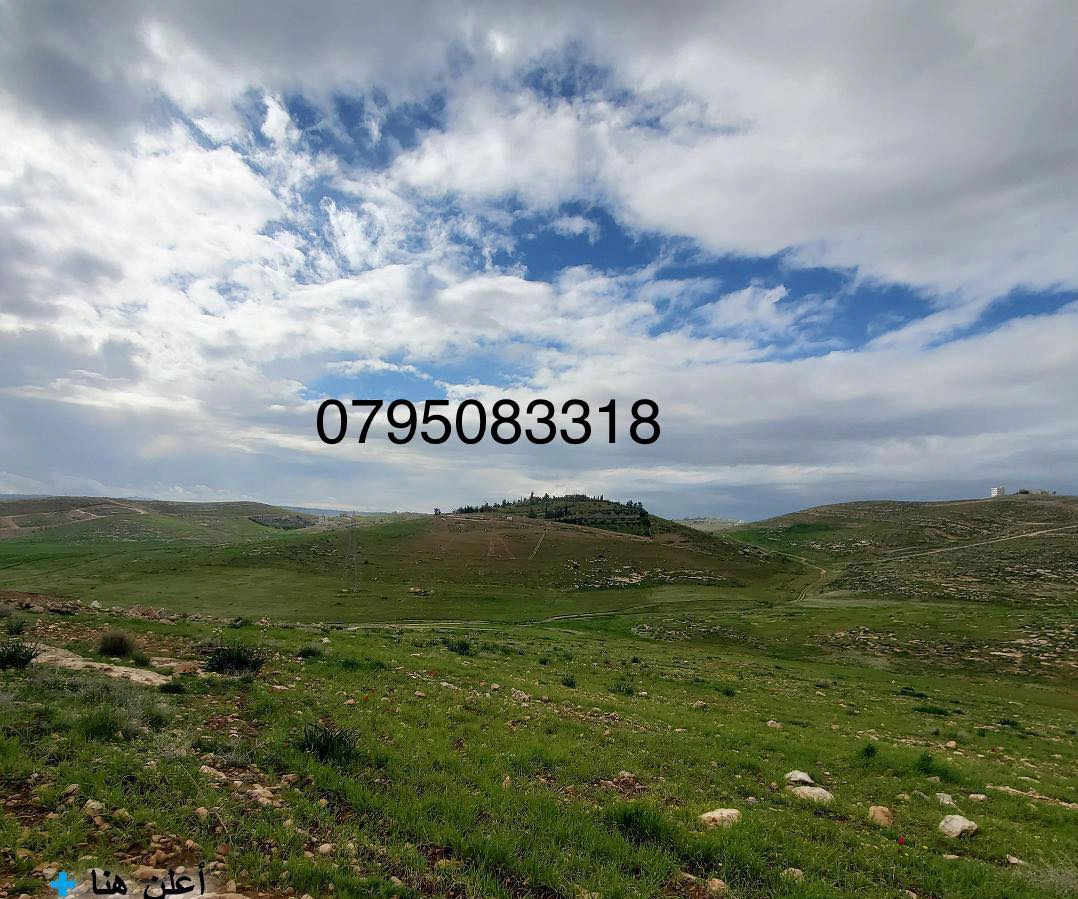 أرض في  عمان شفابدران بجانب اسكان وزارة التربية  - 650,000 دأ - صورة 1